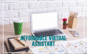 Affordable VIrtual Assistant rakuboss.jpg